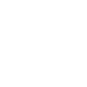 icon 1 1 language