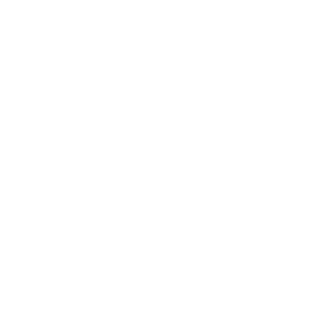 icon 1 2 user laptop