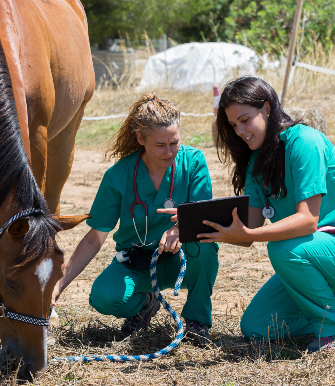 vet tech students
